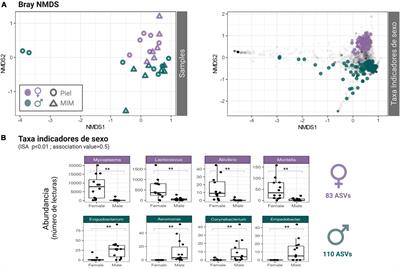 Sex-specific bacterial microbiome variation in octopus vulgaris skin